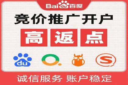 百度竞价运营策略：成功案例解析